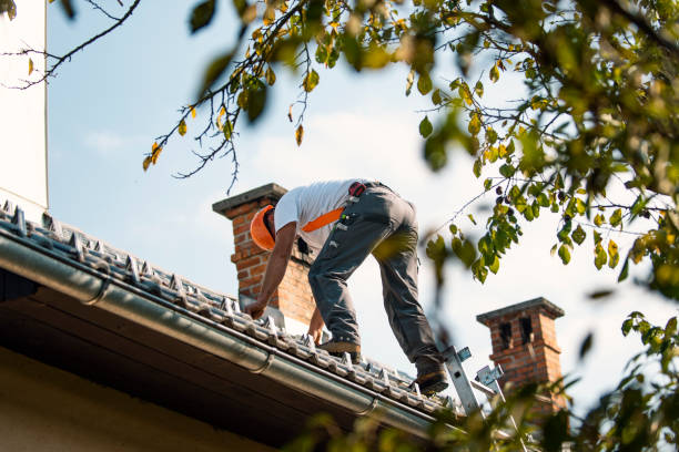 Quick and Trustworthy Emergency Roof Repair Services in Muncy, PA