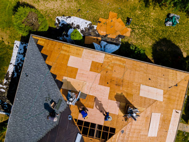 Roof Gutter Cleaning in Muncy, PA